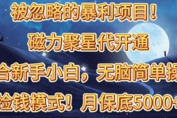 被忽略的暴利项目！磁力聚星代开通捡钱模式，轻松月入五六千51轻创基地-网创项目资源站-副业创业项目-电脑手机搞钱项目-网赚项目51轻创基地