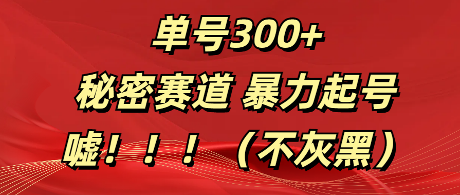 单号300+  秘密赛道 暴力起号  （不灰黑）51轻创基地-网创项目资源站-副业创业项目-电脑手机搞钱项目-网赚项目51轻创基地