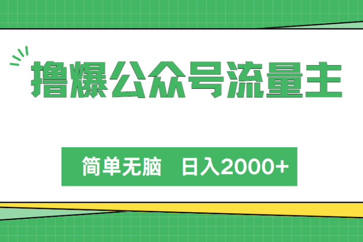 撸爆公众号流量主，简单无脑，单日变现2000+51轻创基地-网创项目资源站-副业创业项目-电脑手机搞钱项目-网赚项目51轻创基地