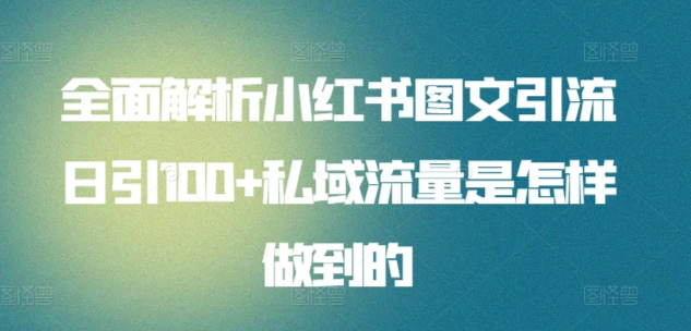 日引流100私域流量小红书图文是怎样做到的全面解析51轻创基地-网创项目资源站-副业创业项目-电脑手机搞钱项目-网赚项目51轻创基地