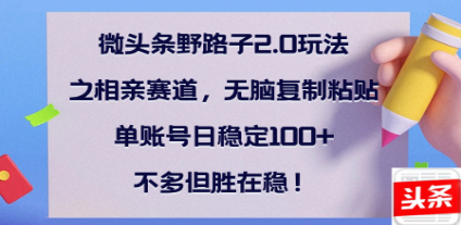 全网首发微头条野路子2.0玩法之相亲赛道，无脑搬砖复制粘贴，单账号日稳定300+保姆级教程51轻创基地-网创项目资源站-副业创业项目-电脑手机搞钱项目-网赚项目51轻创基地