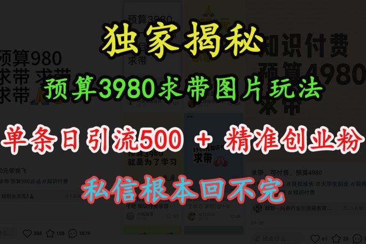 “小红书”预算3980求带 图片玩法，单条日引流500+精准创业粉，私信根本回不完51轻创基地-网创项目资源站-副业创业项目-电脑手机搞钱项目-网赚项目51轻创基地