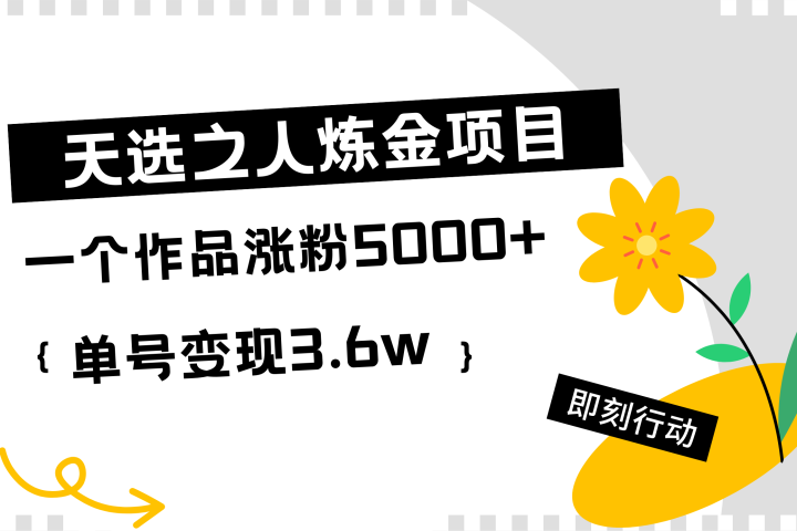 天选之人炼金项目，一个作品涨粉5000+，单号变现3.6w51轻创基地-网创项目资源站-副业创业项目-电脑手机搞钱项目-网赚项目51轻创基地