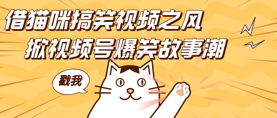 借猫咪搞笑视频之风，掀视频号爆笑故事潮，轻松日赚四位数，开启无门槛赚钱新体验！51轻创基地-网创项目资源站-副业创业项目-电脑手机搞钱项目-网赚项目51轻创基地