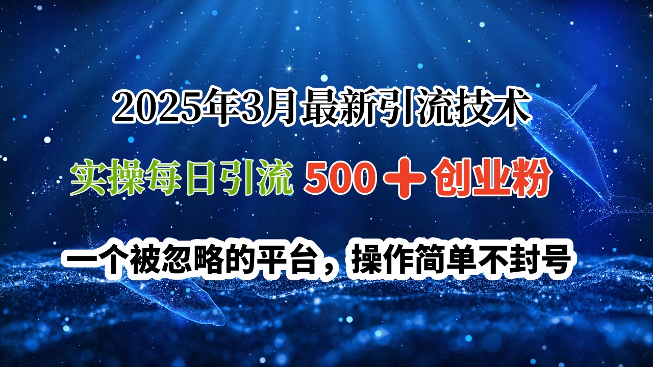 2025年3月最新引流技术，实操每日引流500➕创业粉，一个被忽略的平台，操作简单不封号51轻创基地-网创项目资源站-副业创业项目-电脑手机搞钱项目-网赚项目51轻创基地