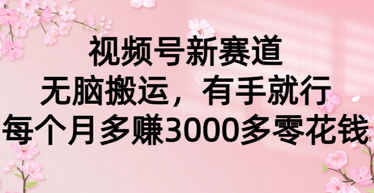 视频号新赛道，无脑搬运，有手就行，每个月多赚3000多零花钱51轻创基地-网创项目资源站-副业创业项目-电脑手机搞钱项目-网赚项目51轻创基地