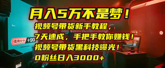 月入5万不是梦！视频号带货新手教程，7天速成，手把手教你赚钱！视频号带货黑科技曝光！0粉丝日入3000+51轻创基地-网创项目资源站-副业创业项目-电脑手机搞钱项目-网赚项目51轻创基地